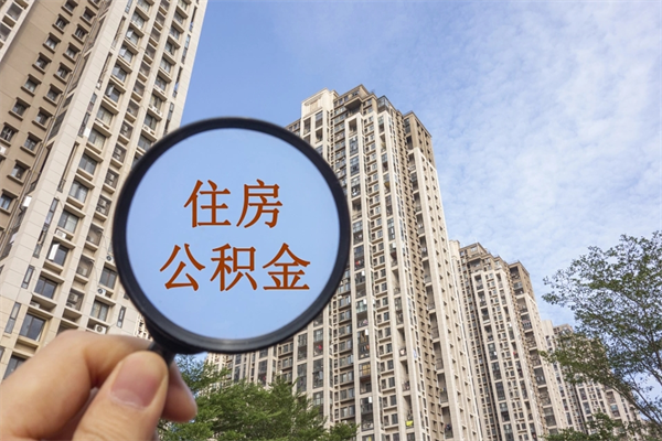 平阳离职后公司不给转公积金怎么办（离职后公司不给转社保怎么办）